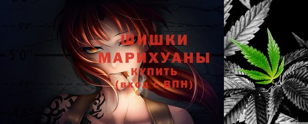 мдпв Карпинск