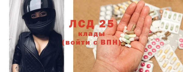 дживик Касимов