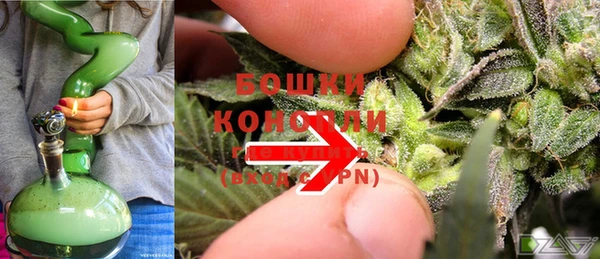 дживик Касимов
