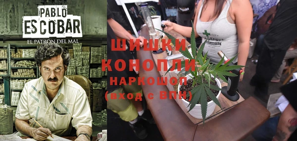 мдпв Карпинск