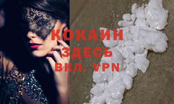 мдпв Карпинск