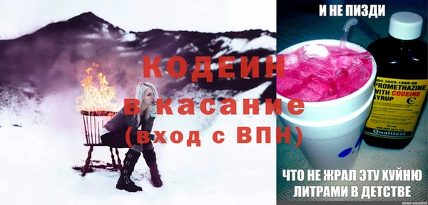 мдпв Карпинск