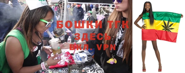 мдпв Карпинск