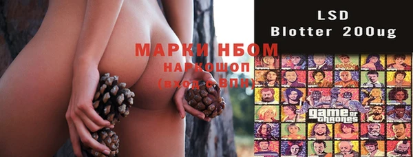 мдпв Карпинск