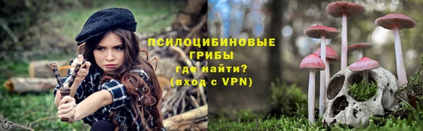 мдпв Карпинск