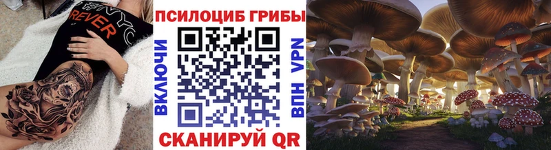 Купить закладки  Курганинск  Псилоцибиновые грибы GOLDEN TEACHER 